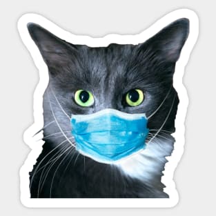 Kitty Sticker